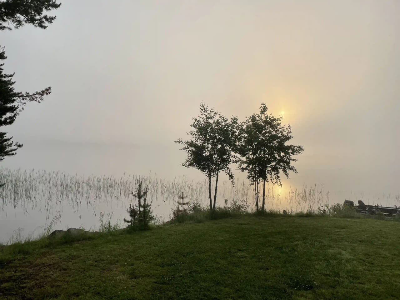 En dimmig morgon vid Fredrika camping, där tät dimma sveper över en sjölandskap omgiven av barrskog.
