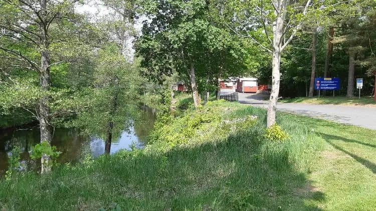En lummig, grön skog vid en stilla damm på Värnamo Camping.