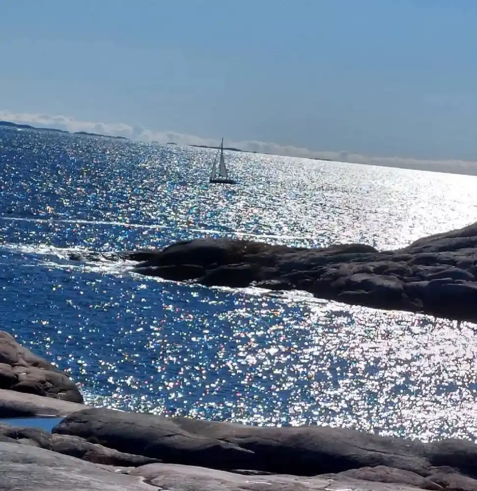 En kustnära vy vid Saltviks camping med böljande havsvågor, klippformationer och en horisont där himmel möter hav.