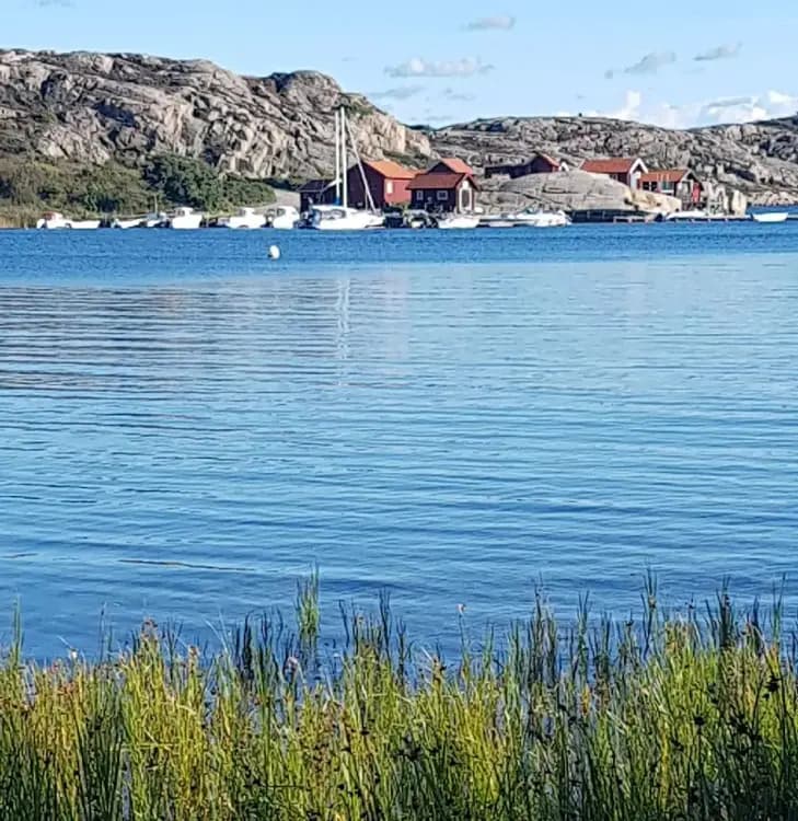 En klarblå sjö vid Saltviks camping med en kustlinje av sand och grönska i bakgrunden under en molnfri himmel.