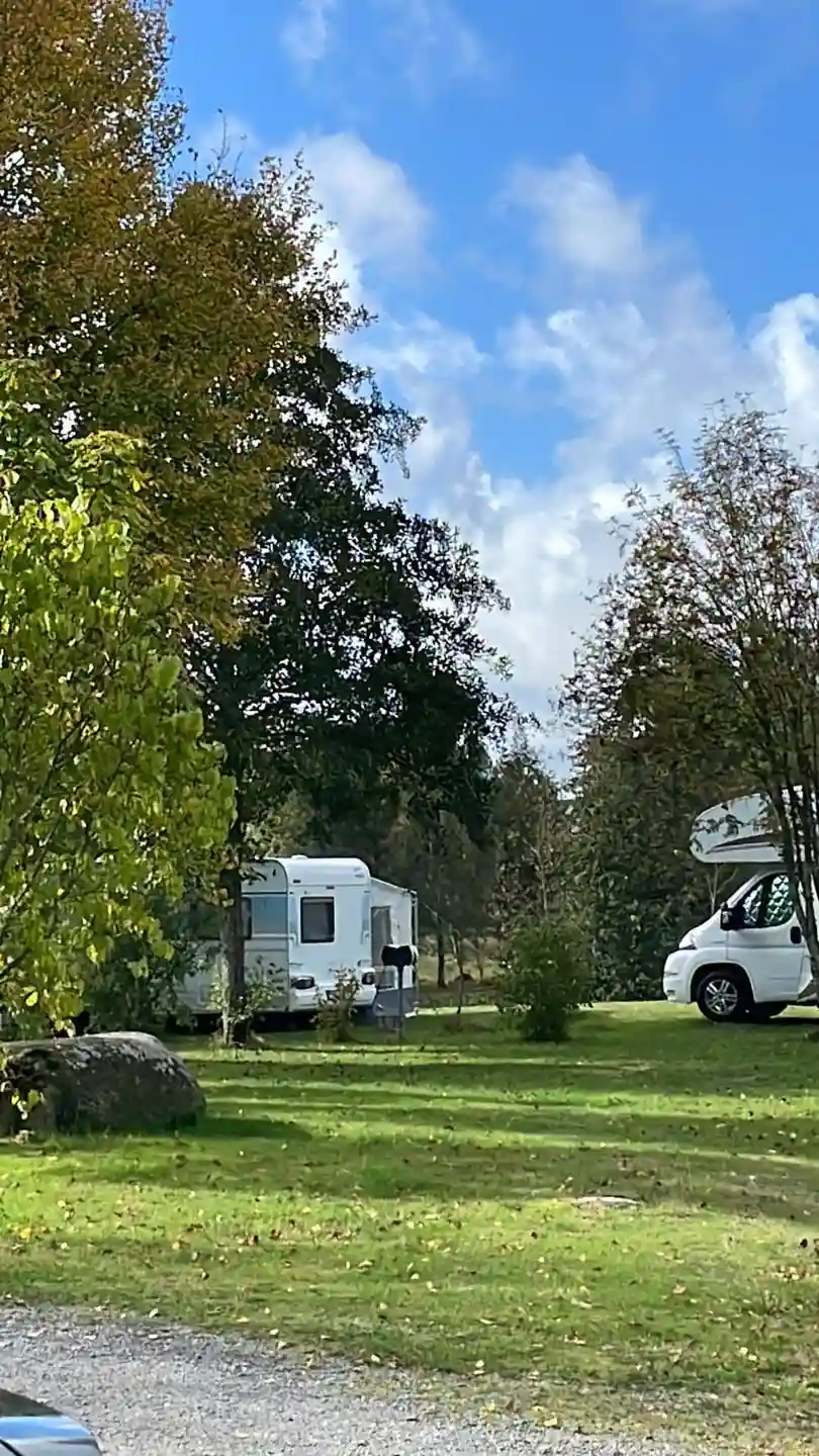 En grönskande campingplats med flera träd och gräsmattor, där husbilar och husvagnar är parkerade på ett område vid en grusväg.