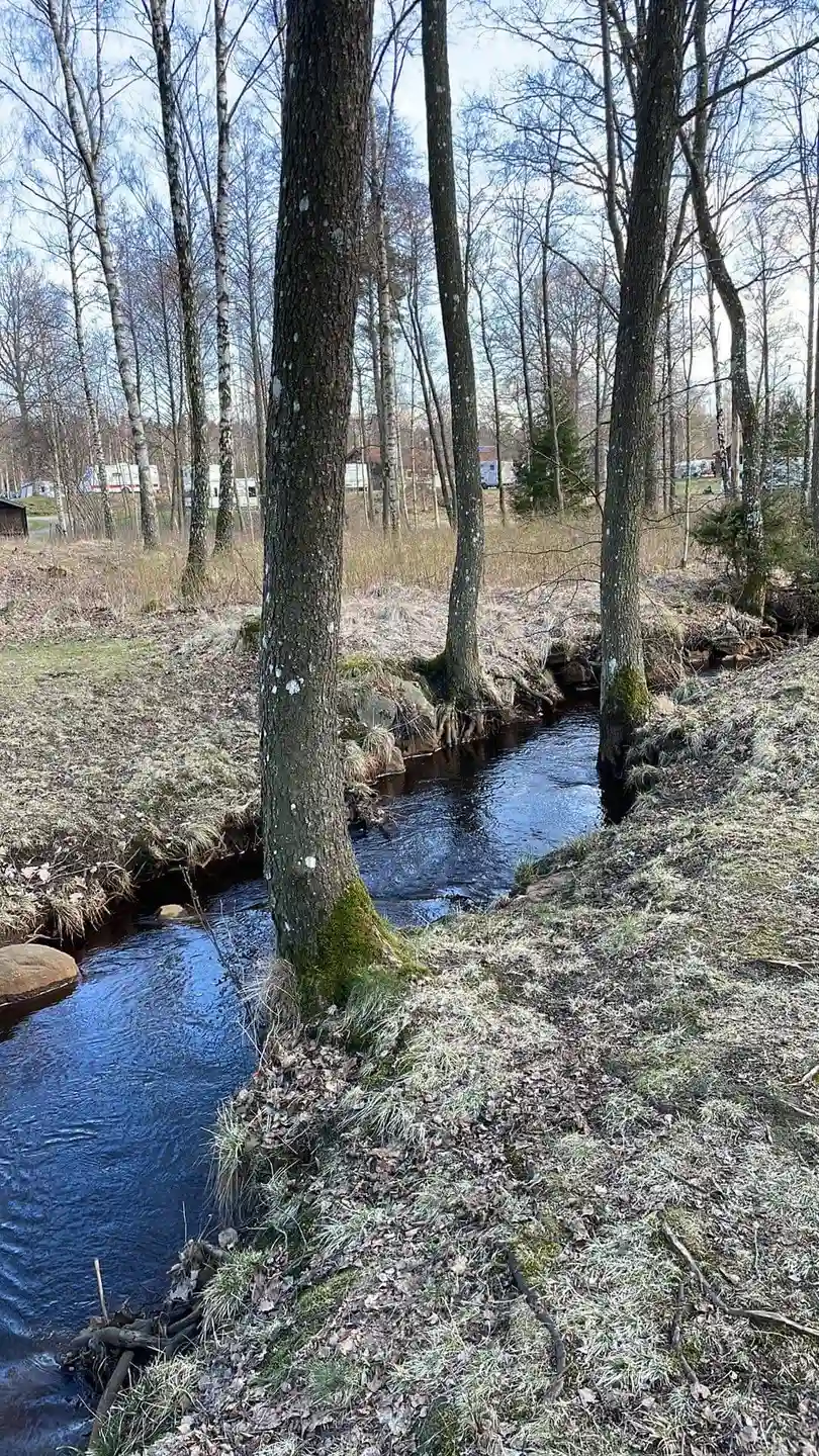Upptäck lugn och äventyr på Våxtorps natursköna camping – en perfekt tillflyktsort i Halland med boenden för alla.