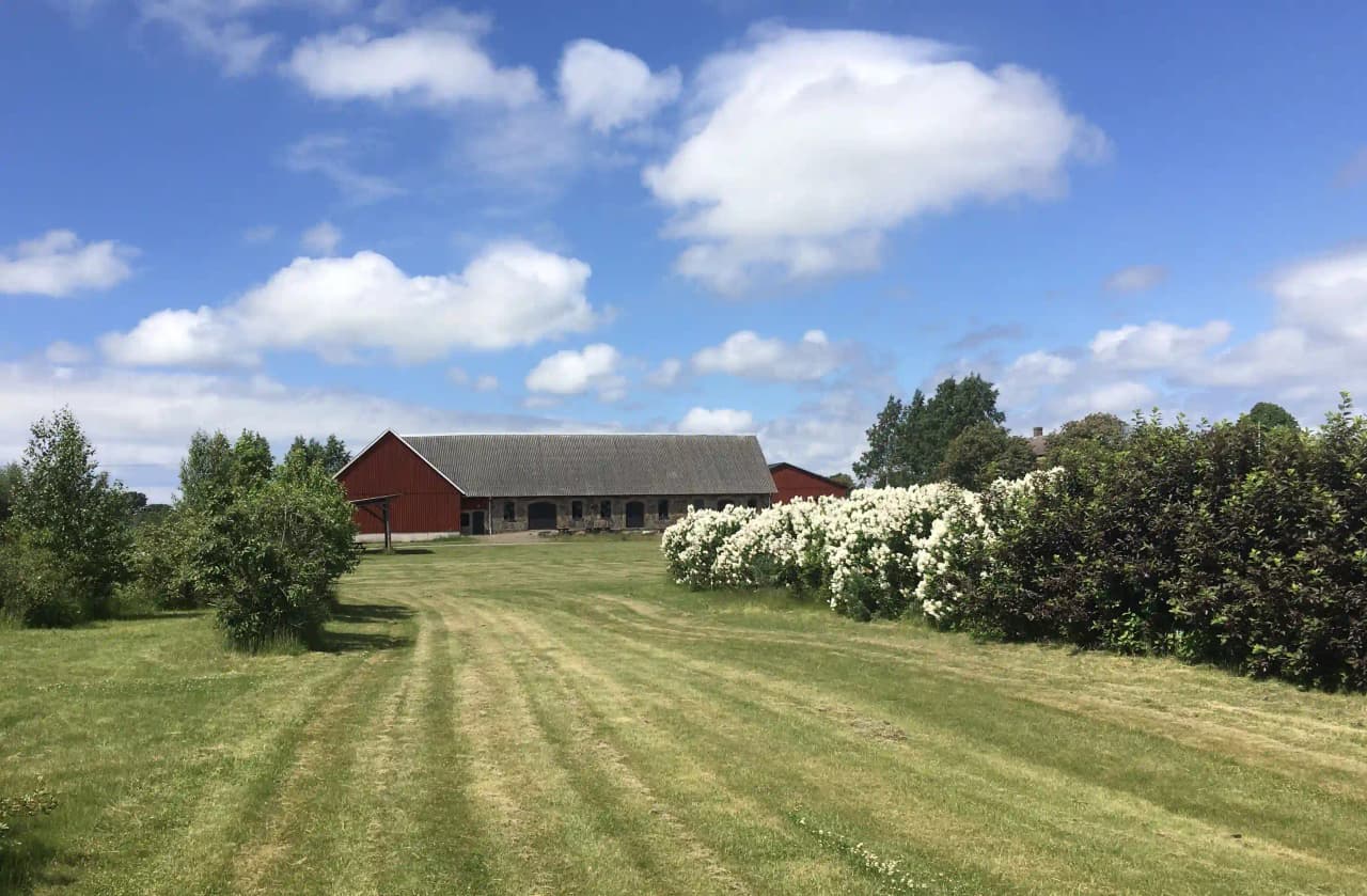 En vidsträckt gräsbevuxen landsbygd med spridda buskar och markvegetation vid Bläsinge gård.