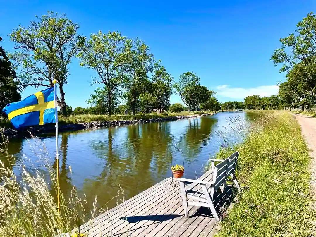 En grönskande sommarbild vid Jonsboda med ett vattendrag som slingrar sig genom landskapet, omgiven av frodig natur och växtlighet.