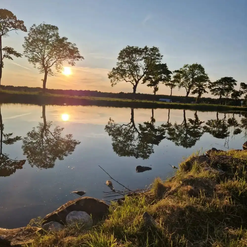 En vacker kvällsvy över en stilla vattenyta i Jonsboda, omgiven av frodig natur. Solnedgångens sken reflekteras i vattnet och skapar en harmonisk och fridfull atmosfär.