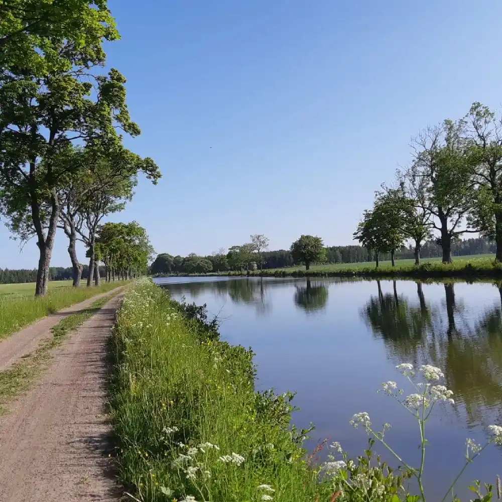En naturskön vy vid Jonsboda med en spegelblank sjö omgiven av frodig grönska och träd under en klarblå himmel.