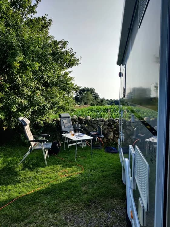 En grön gräsmatta med flera husvagnar och campingfordon parkerade i skuggan nära Björkängs vandrarhem. Träd och buskar omger området, vilket ger en avslappnad och naturnära känsla.