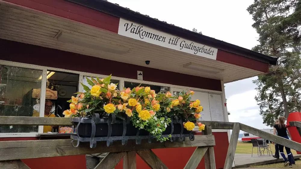Bild av Gudingebadet, visar en skuggad plats med blommor, inklusive pelargoner, arrangerade i en vacker floristik uppsättning.
