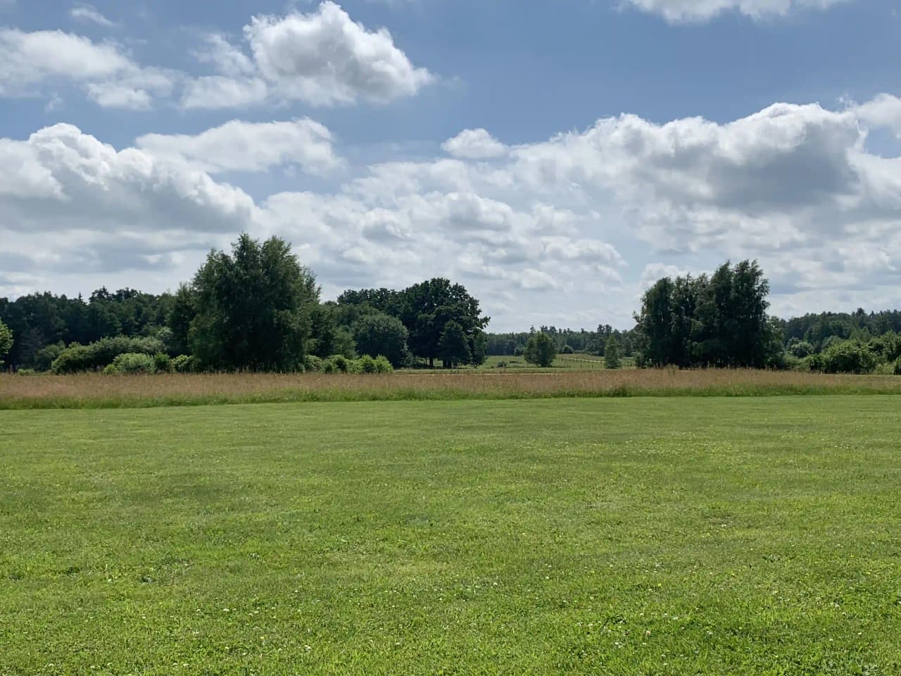 En grön campingplats med öppna gräsmattor och omgivande träd under en klarblå himmel med några vita moln.