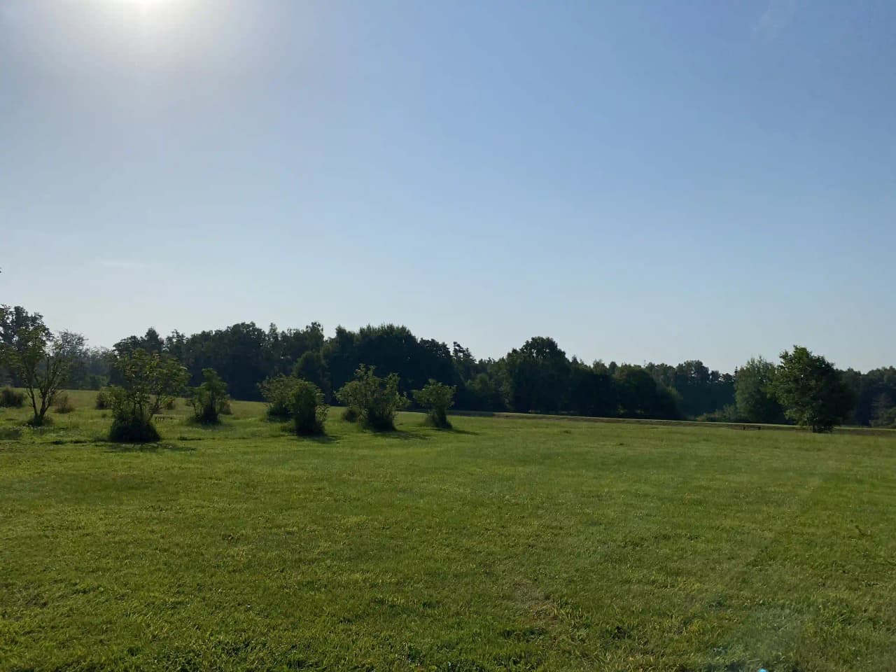 En grönskande campingplats i Vinslöv under dagtid med öppna gräsytor, träd och klar himmel.