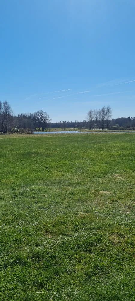 En grön äng under en klarblå himmel på Vinslövs camping, med gräsmark och naturlig omgivning i dagsljus.