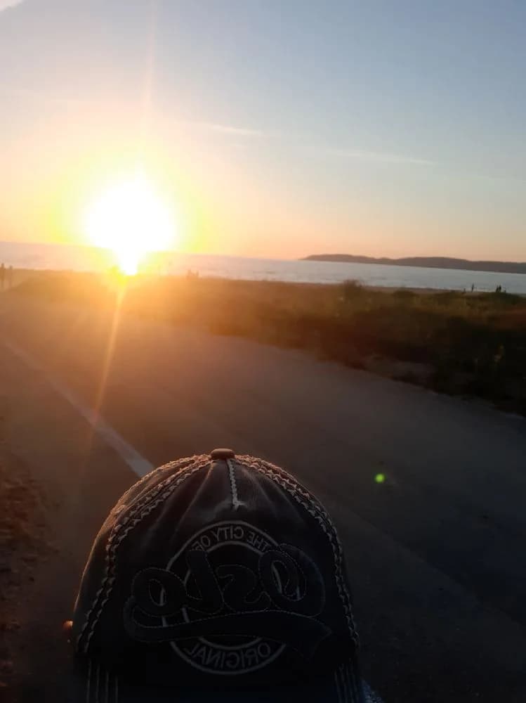 Upplev avkoppling 300 m från sandstranden på Skummeslövsstrands camping – naturnära, bekvämt och husdjursvänligt!