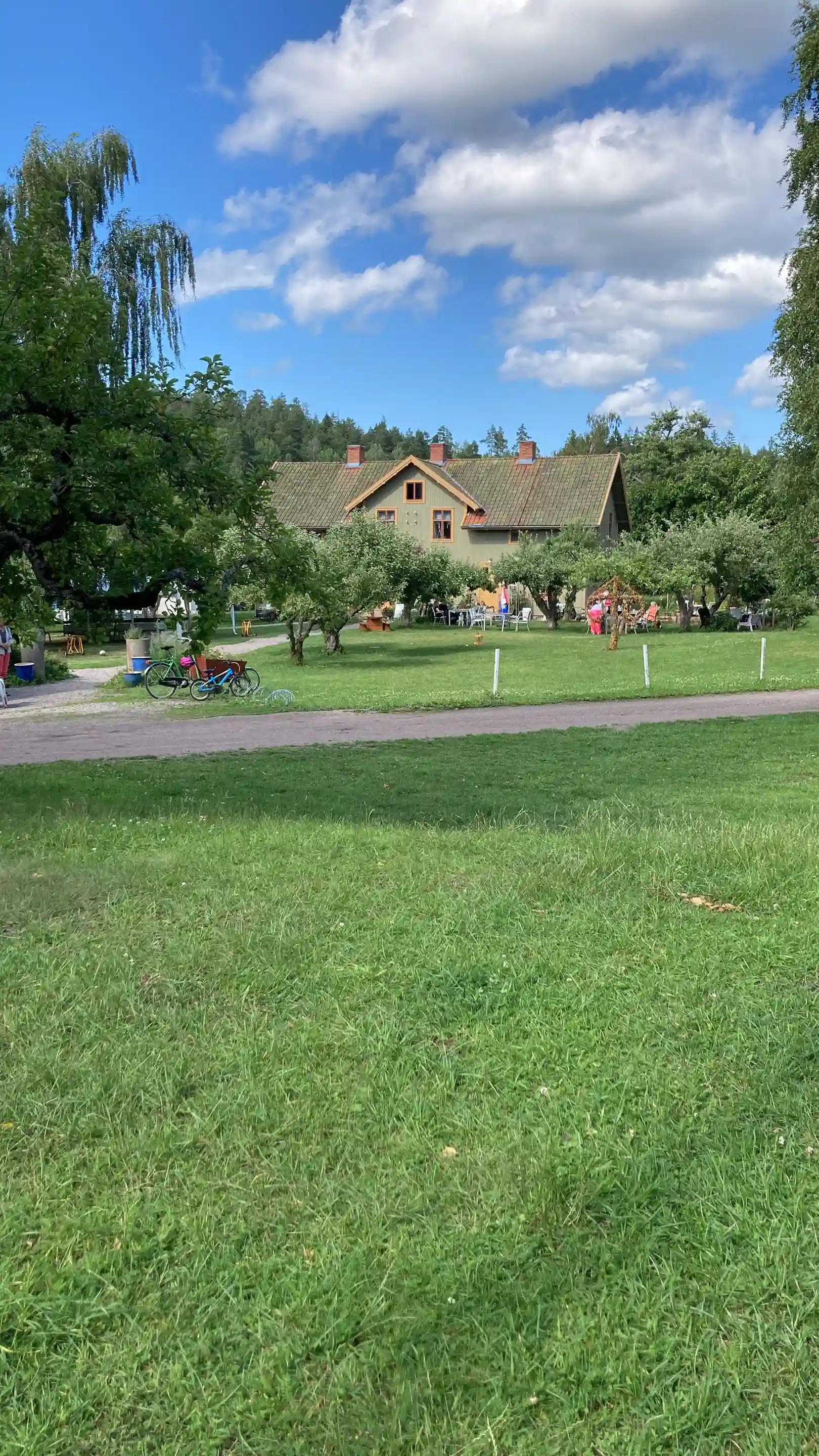 Ett frodigt område vid glasbruket med grön gräsmatta, buskar och trädgårdsväxter under en solig vårdag.