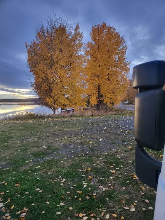 En solig morgon vid Trångsvikens bygdegård med trädstammar och grenar i höstfärger som kastar skuggor, omgivna av en naturskön miljö som liknar Lake District.