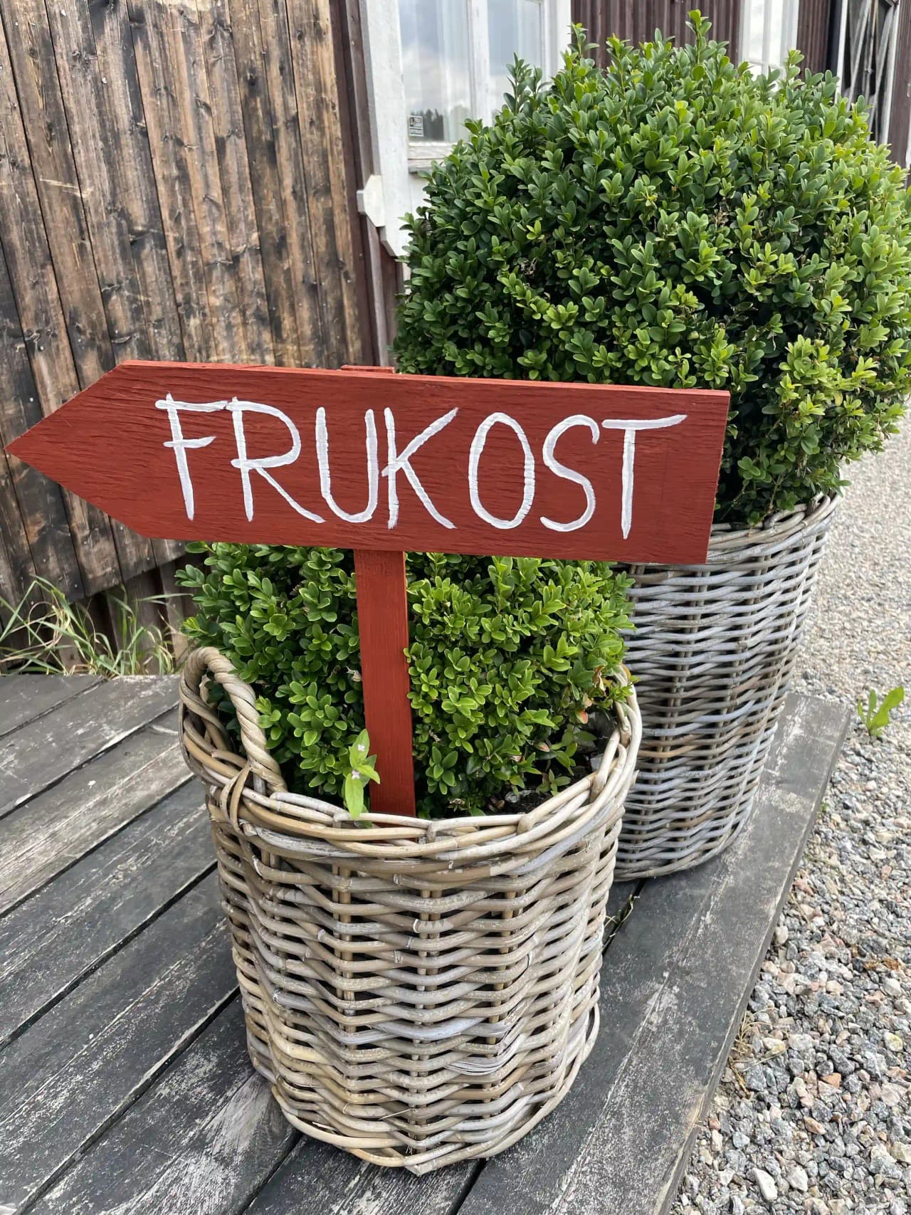 En närbild av en korg fylld med husplantor och blomkrukor, inklusive pelargoner och örter, utanför Älvstalodges.