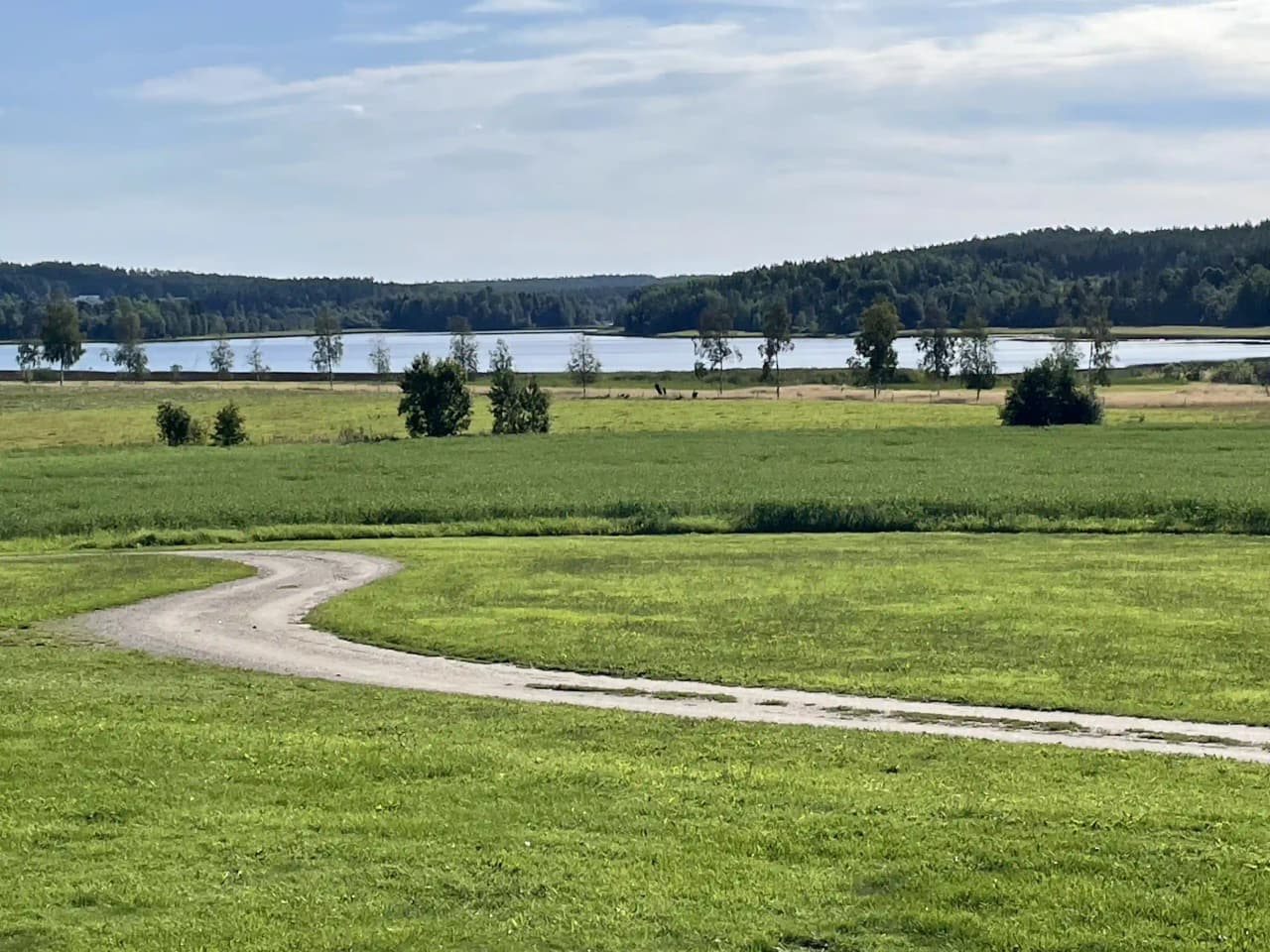Bild av en vidsträckt grön äng med gräs och omgivande natur vid älvstalodges.