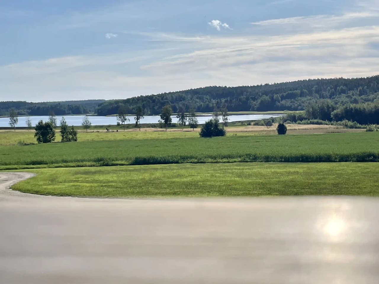 Upptäck natursköna Älvstalodges – charmigt boende och äventyr i Hälsingland, bara ett stenkast från E4:an i Jättendal!