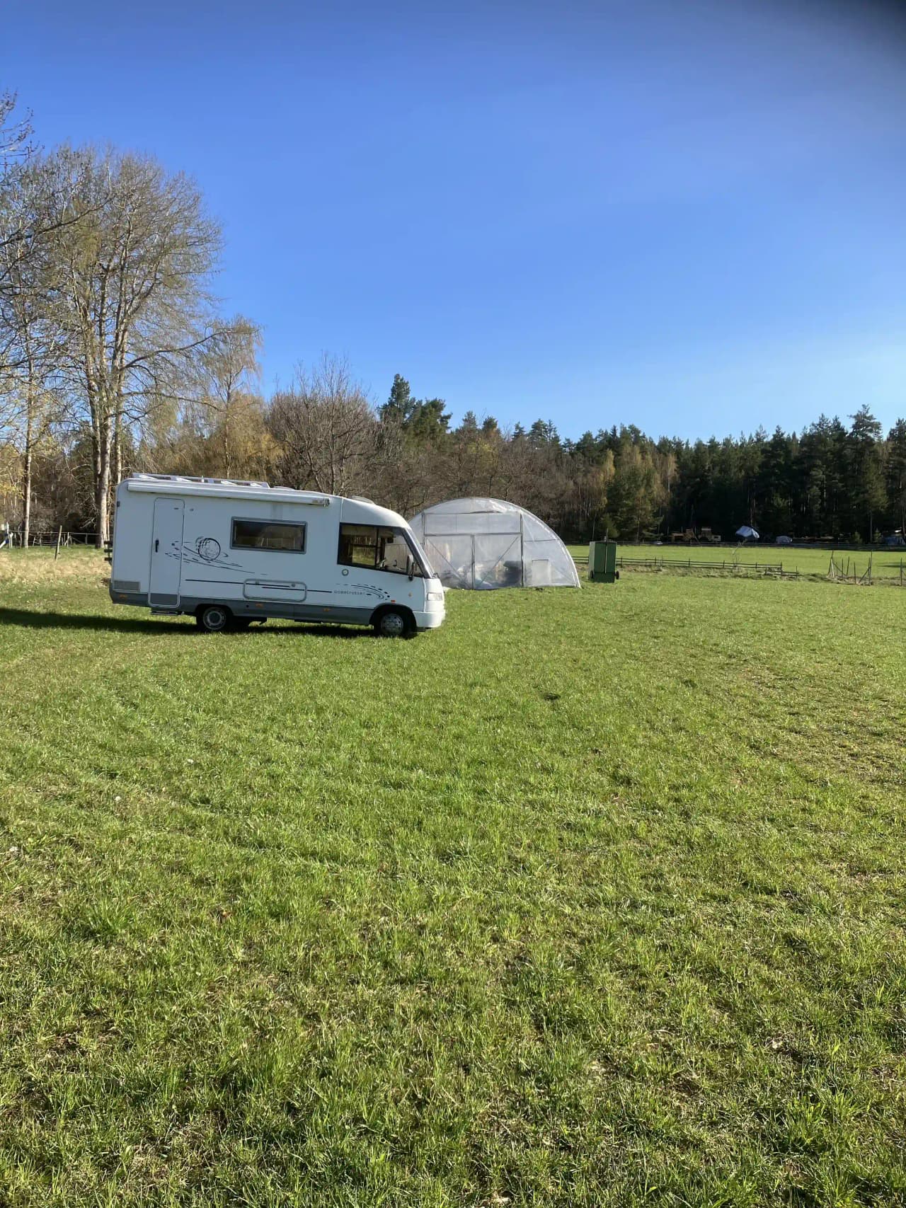 Campingplats med grönt gräs och tält, husvagnar och husbilar parkerade i bakgrunden på Billingen Camping och Stugby.