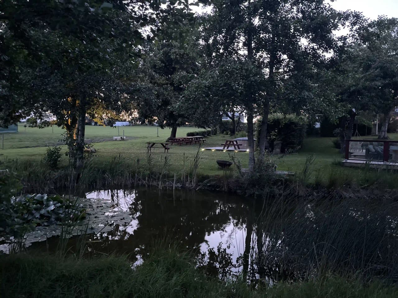 En vacker trädgårdsutsikt vid Husargården, med frodig grönska, träd, en gräsmatta och en liten damm.