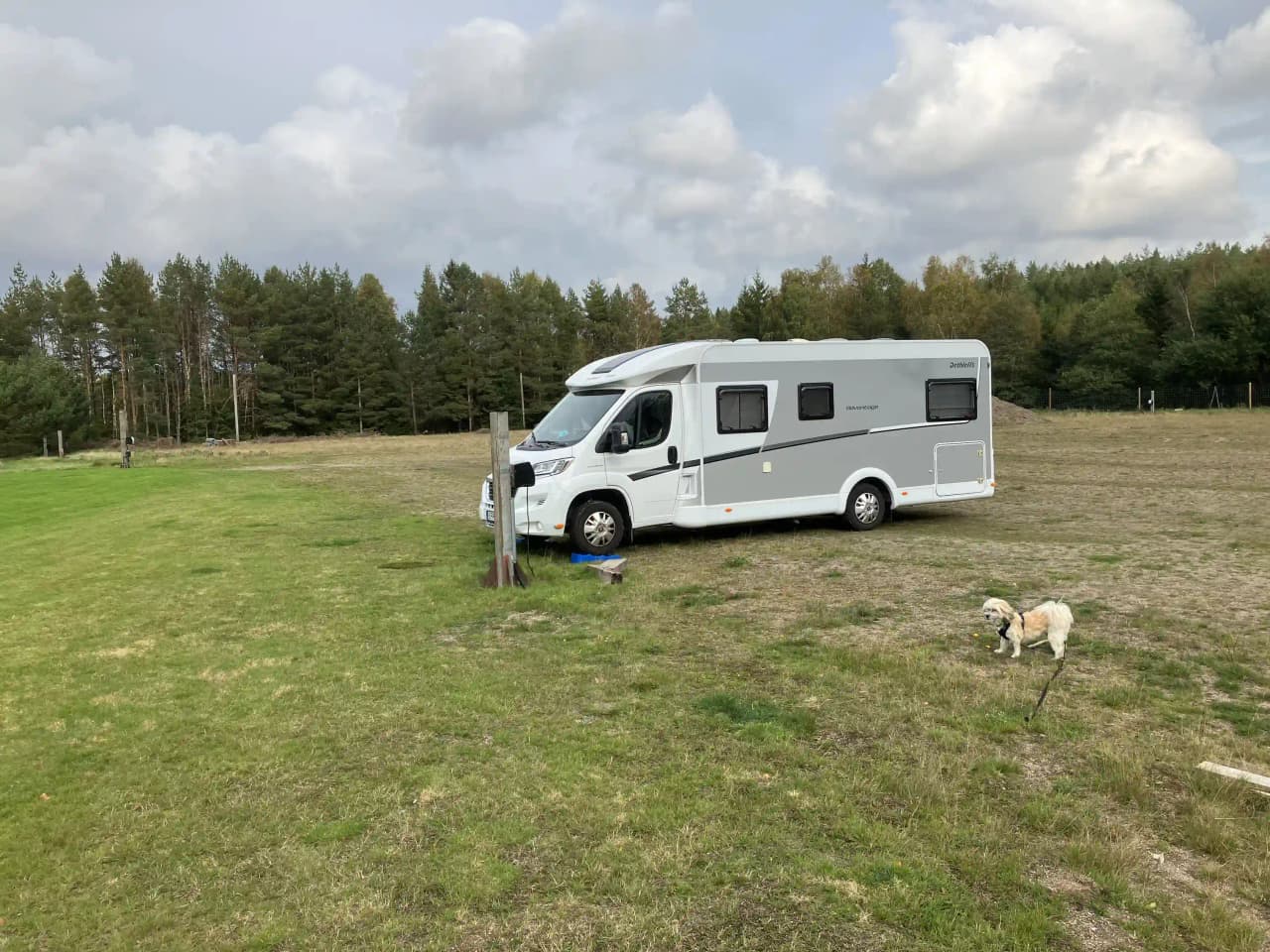 En husbil och en campingvagn står parkerade på Skogsvallen i Ale, omgivna av frodig grönska.
