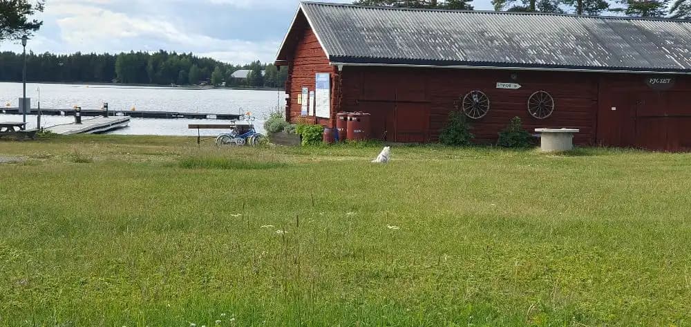 Ett lantligt område vid Kungsgårdsviken med en stuga och lada omgivna av grönskande gräsmatta och anlagd trädgård.