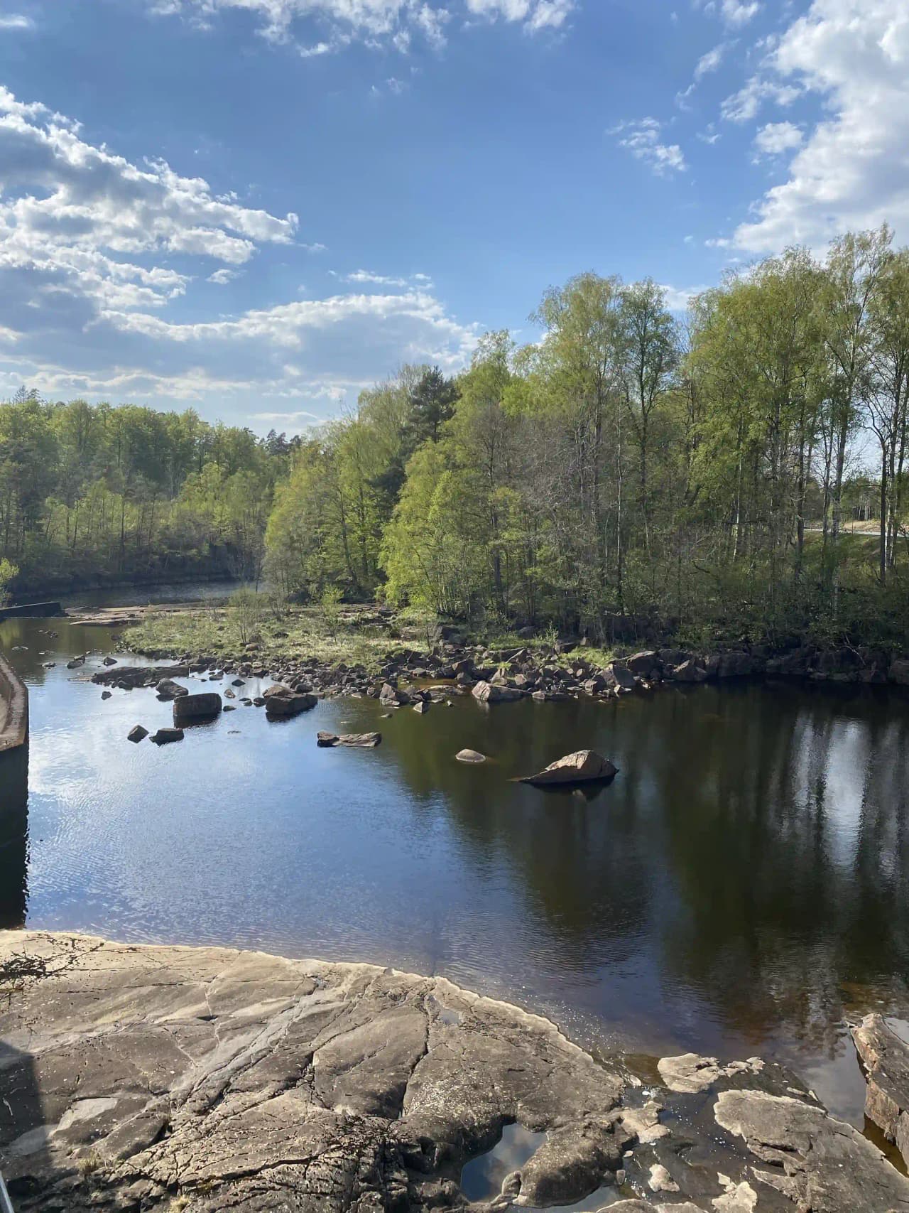 Bild av den sovande älgen plats, ett naturskönt område med vattenresurser. En stilla vattenyta omgiven av naturlandskap, där steniga strandkanter syns i förgrunden. Området präglas av en lugn och rofylld atmosfär, vilket gör det till en attraktiv besöksplats.