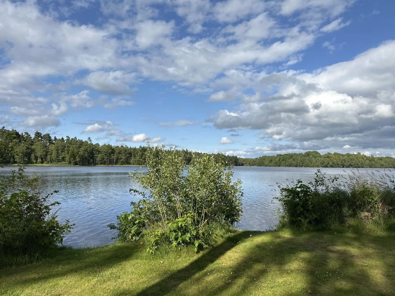 Upplev naturidyll vid Lagan på Den Sovande Älgen, din perfekta tillflykt med äventyr och avkoppling.