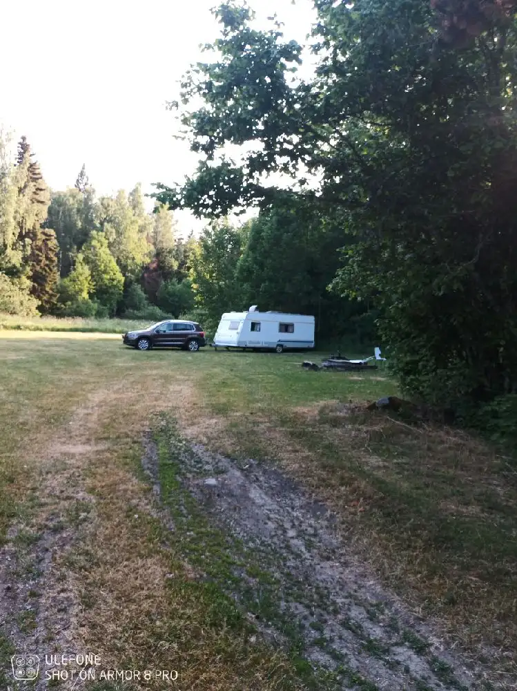 En naturskön campingplats omgiven av höga barrträd och grönska, med en smal stig som slingrar sig genom området. En husvagn står parkerad vid sidan av stigen, vilket förstärker intrycket av en idyllisk plats för en avkopplande roadtrip och utomhusaktiviteter.