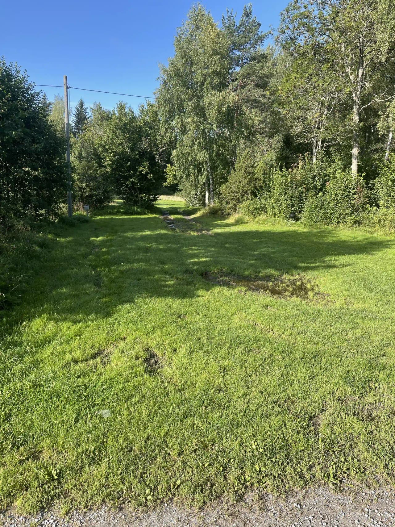 Upptäck Fyrväpplingen, en naturskön campingoas i Uppland med magiskt fiske, vandringar och rogivande stjärnhimlar.