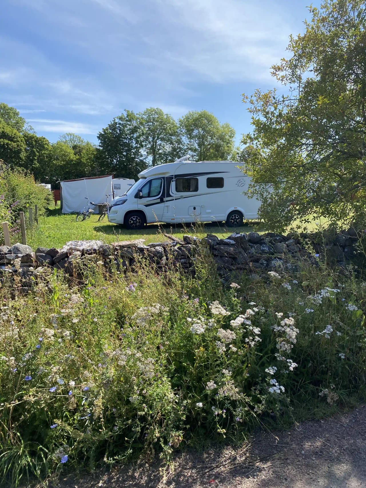 En grönskande trädgård med buskar och växter omger en parkeringsplats där flera fordon, inklusive husbilar och mindre bilar, står parkerade vid Kalvhagen Södvik.