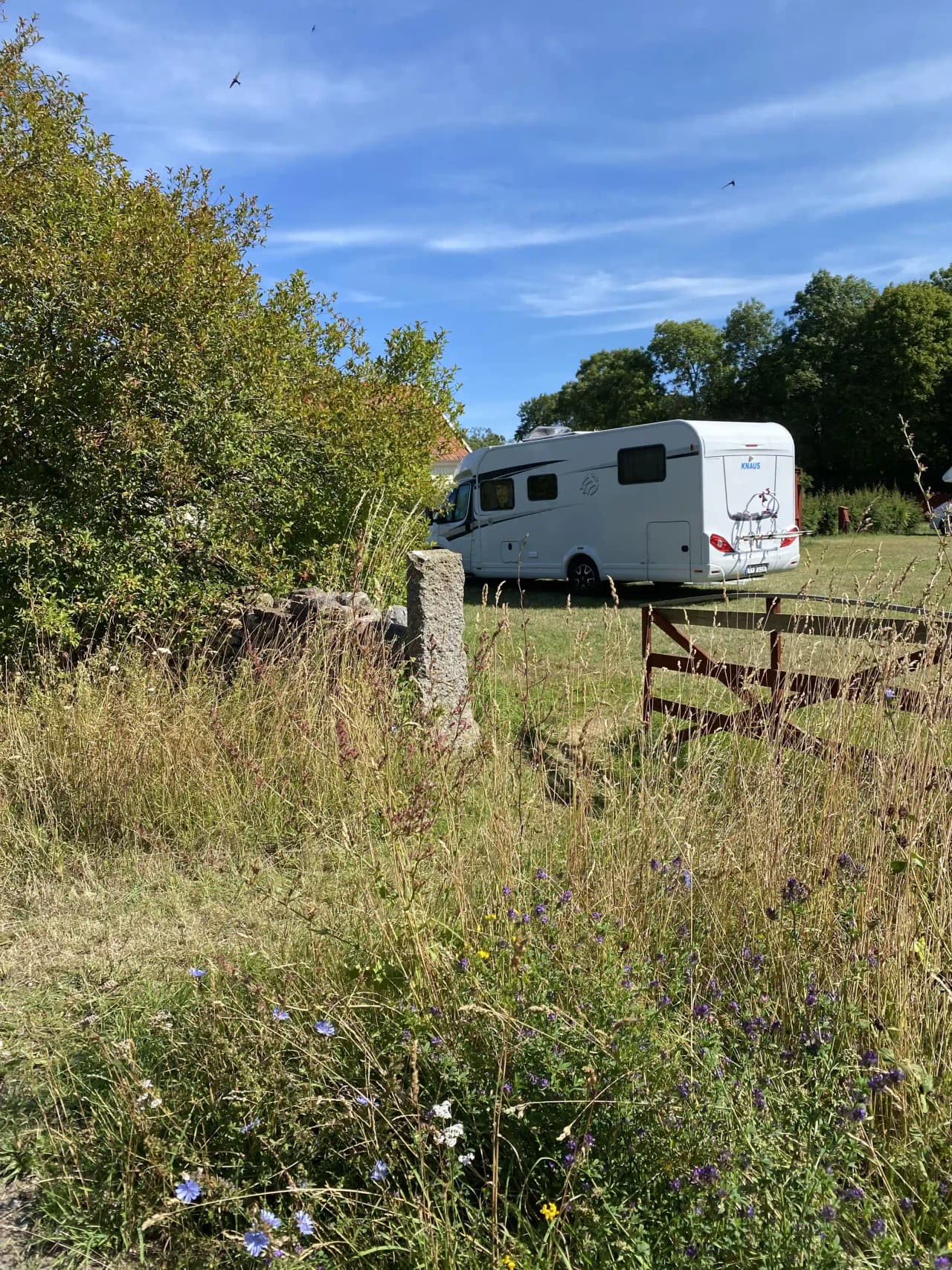 En frodig äng med vilda blommor och buskar i förgrunden, en stig leder genom landskapet. I bakgrunden syns en husvagn parkerad vid kanten av en prärie.
