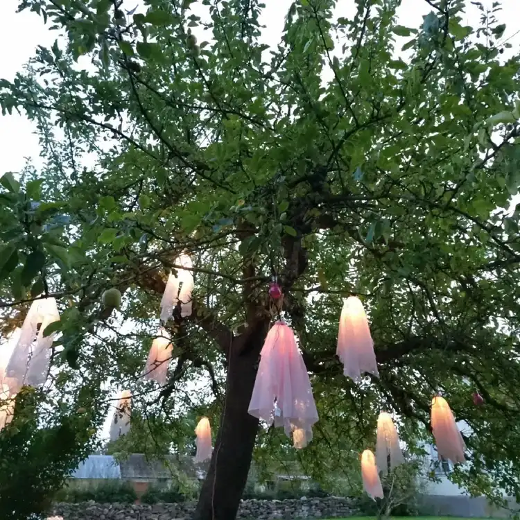 Kalvhagen Södvik: Upplev en inspirerande oas där konst och natur förenas på norra Öland. Avkoppling och kultur väntar!