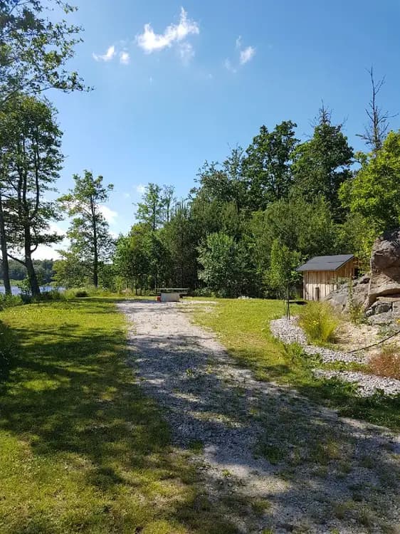 En lummig campingplats omgiven av grönska, med träd, gräs och buskar i en naturskön miljö på Ljuvadal Camping & Ställplats.