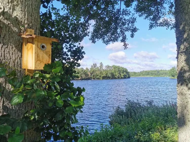 En naturskön campingplats vid en sjö, omgiven av frodig grönska. I förgrunden syns ett fågelholk, och vattnet glittrar i solljuset. En perfekt plats för avkoppling och friluftsliv i Ljuvadal.