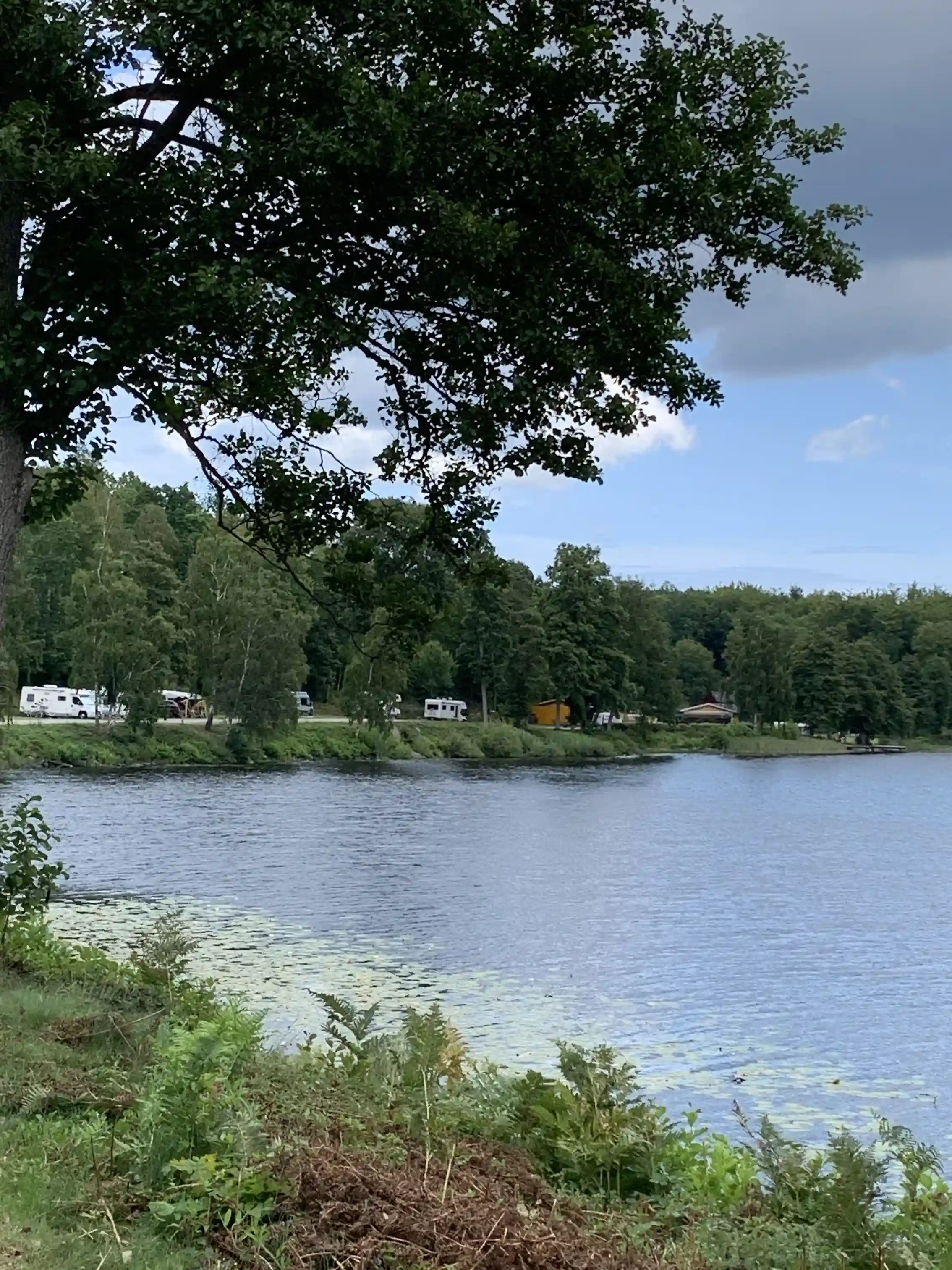 En somrig bild av Ljuvadal Camping & Ställplats med naturskön omgivning. Fridfullt vattendrag omgärdat av frodiga träd och växtlighet.