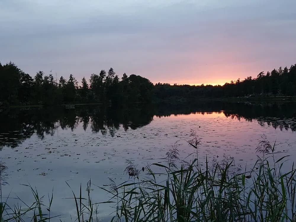 Naturskön camping vid Ugglebodasjön i Blekinge - perfekt för friluftsliv och avkoppling med hela familjen, inklusive hundar!