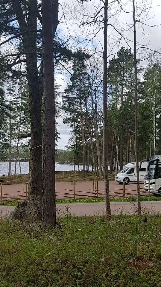 En vacker campingplats med skuggiga trädstammar och en skogsstig som leder genom en lummig park.