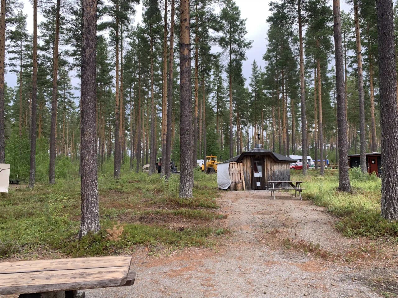 En loggbod omgiven av tät skog med barrträd vid Sandnäsets bad & camping.