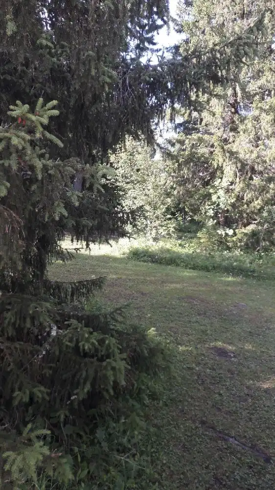 En grönskande campingplats omgiven av frodig skog med barrträd och buskar, gräsmatta och trädgårdsväxter i förgrunden.