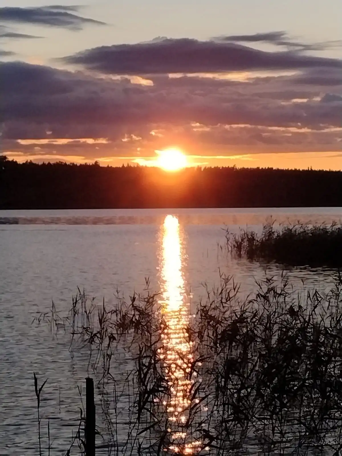 Njut av lugn och ro vid Anebysjön i Småland, perfekt för naturälskare och hela familjen. Boka din nästa campingresa!
