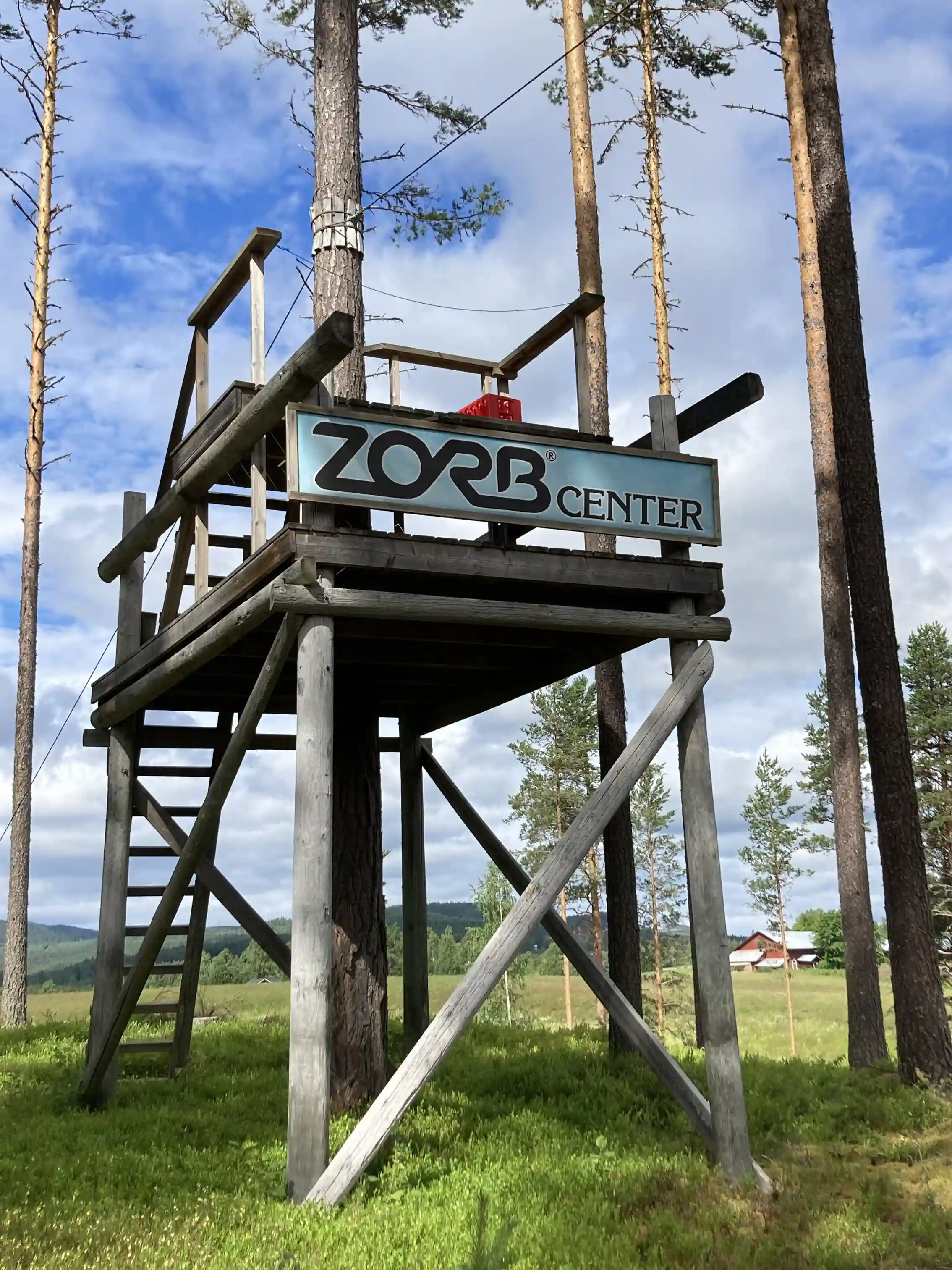 En grönskande park med människor som rullar nedför en backe i stora, genomskinliga zorbbollar, omgivna av träd och blå himmel.