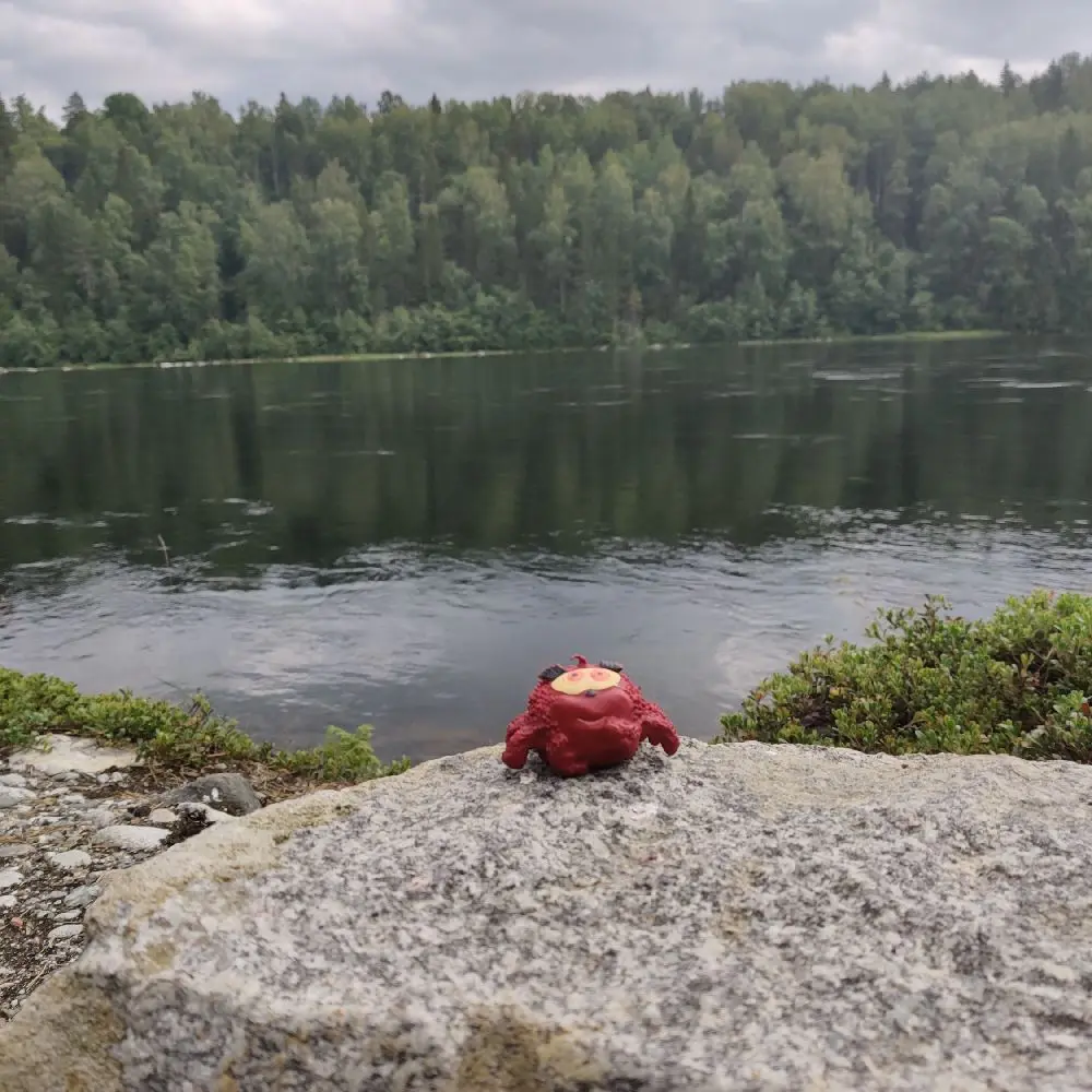Bilden visar ett pittoreskt landskap med en flod eller sjö omgiven av grönskande strandkanter och ett vidsträckt våtmarksområde. Området förenar naturliga fluviala landformer, vilket ger en lugn och naturskön miljö.