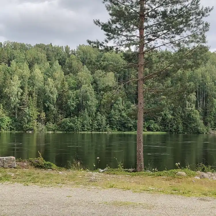 En naturskön bild vid Zorbcenter med en flod som slingrar sig genom en tät skog, omgiven av höga träd och ett spegelblankt sjölandskap i bakgrunden.
