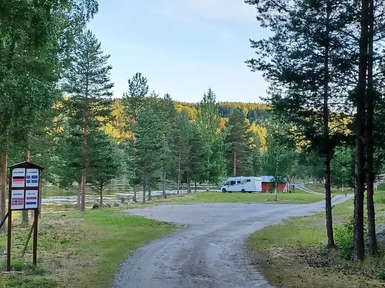En campingplats omgiven av lummiga träd och växtlighet, med en friluftsbil parkerad i närheten.