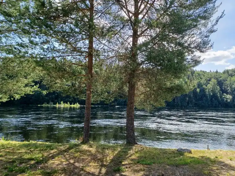 En sjö omgiven av tät skog, med träd som speglas i det stilla vattnet under en klar himmel.