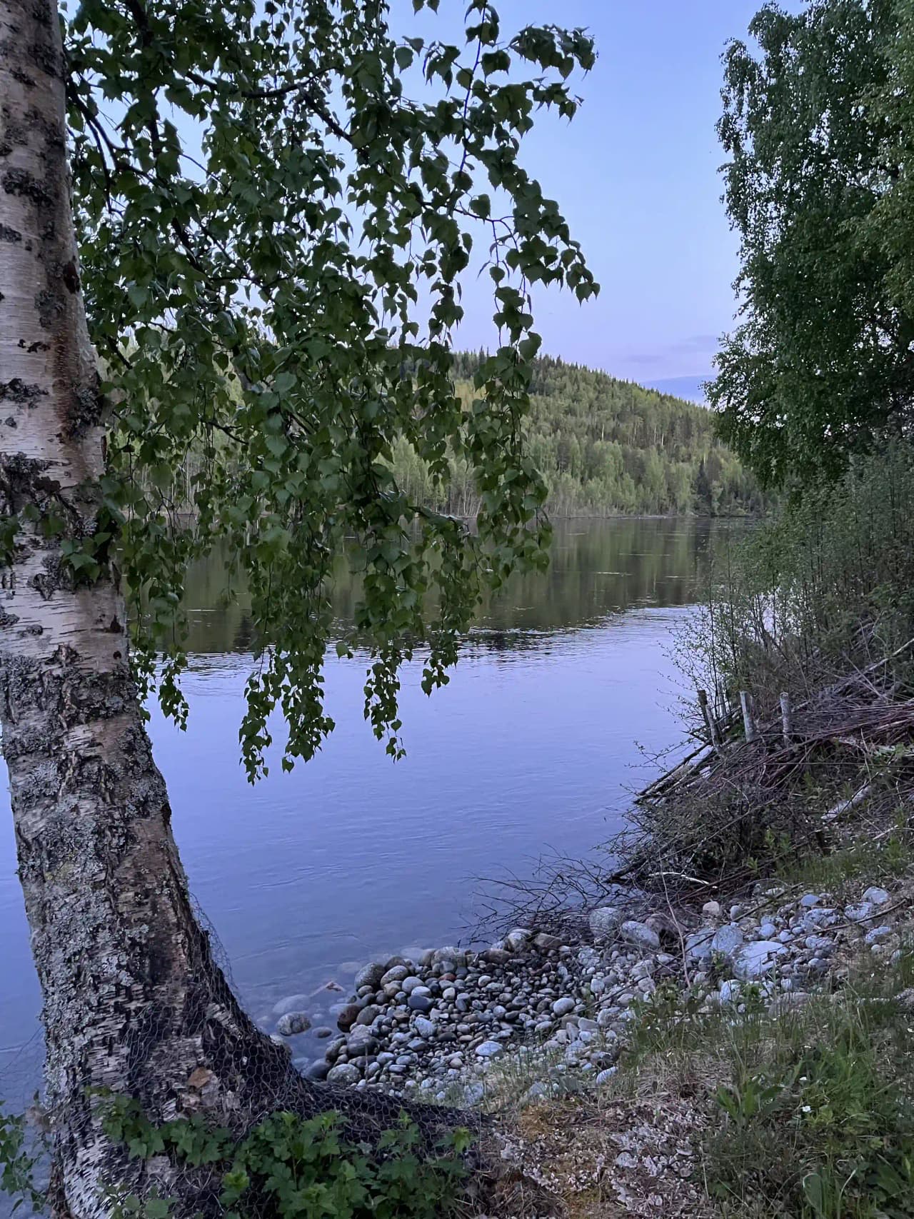 En bild som visar ett naturligt landskap vid Zorbcenter. I förgrunden finns vattenresurser som en flod eller sjö, omgiven av vildmark med träd och grenar. Naturlig skönhet och en stillsam miljö präglar platsen.