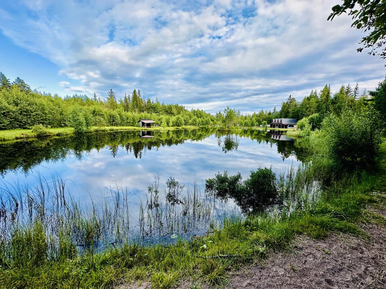 En stillsam vattensjö omgiven av grönskande skogar, där vattenytan reflekterar den frodiga naturen och skapar en rogivande vildmarksatmosfär. Perfekt besöksmål för fiske och naturupplevelser i Mora.