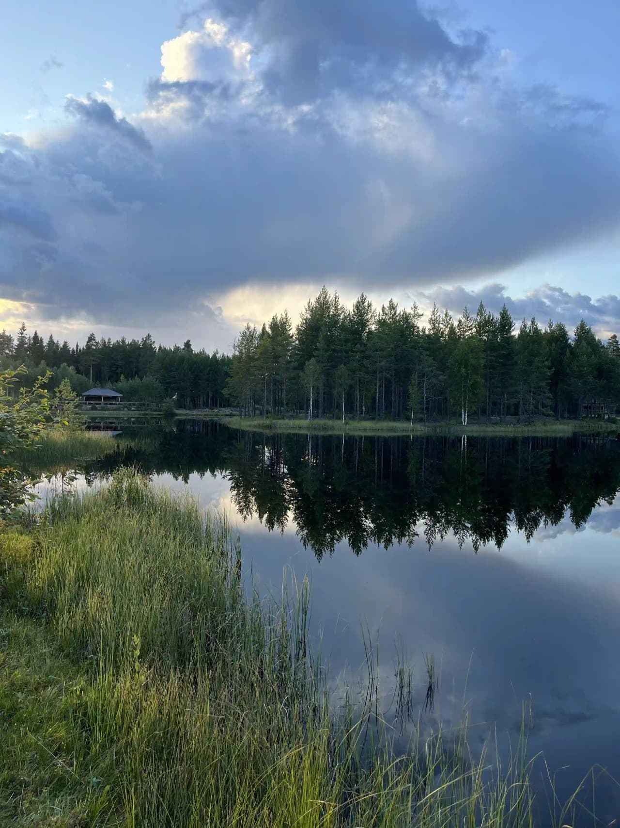 En klarblå himmel speglas i det lugna vattnet omgiven av grönskande natur vid vildmarksfisket i Mora.