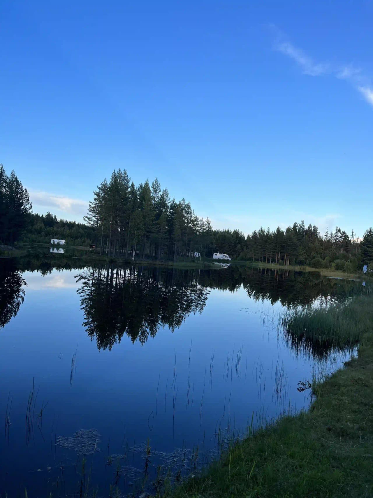 Upplev sjöar, fiske och natursköna äventyr i Dalarnas hjärta på Vildmarksfisket i Mora. Perfekt friluftsparadis!