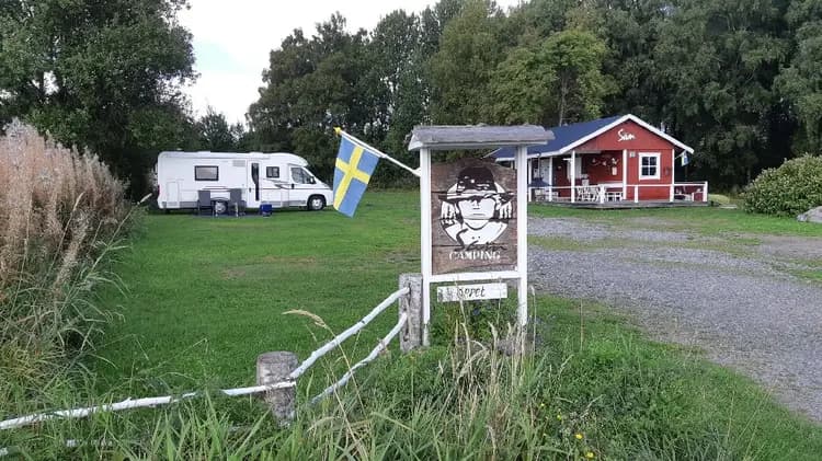 Hund som leker på en grön gräsmatta vid Säms Camping och Café, omgiven av parkmiljö.